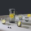 BOLIDOMI 5-Piece Glass Water Set