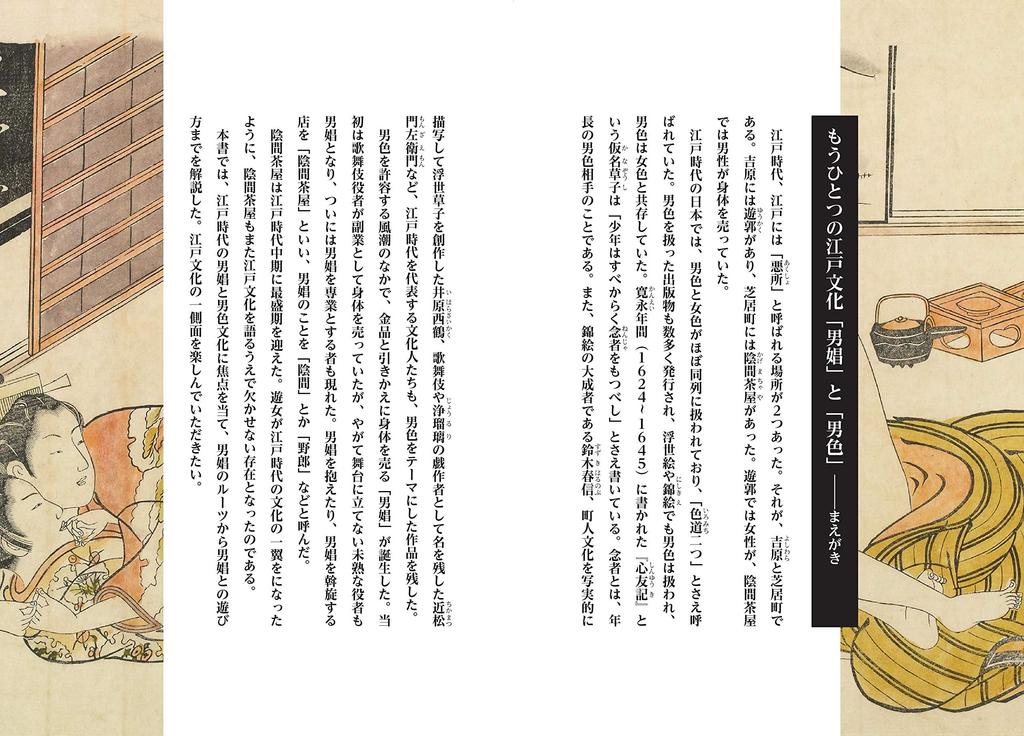 The history of male prostitution and homosexuality from the perspective of Edo culture