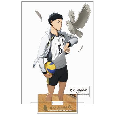 [Official] COSPA Haikyu Akaashi Keiji Acrylic Stand (Large) Ver.1.0