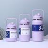 Stainless Steel Vacuum Insulated Travel Water Bottle With Handle 1500ml 2000ml 2500ml Outdoor Camping Gym Car Home