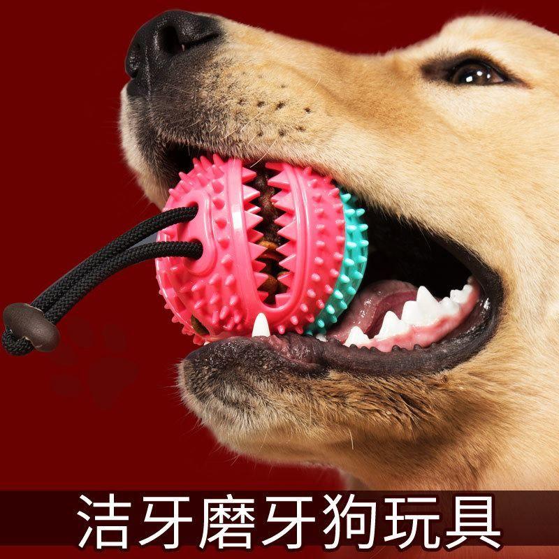 

Amazon Pet Dog Toy Leakage Food Feeder Rubber Molar Long Lasting Bell Vocal Ball Pet Supplies Red and Blue Style