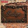 Metal Wall Art Shalom Religious Decor Rustic Rose Poster for Living Room