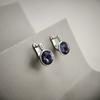 Silver Earrings with Cubic Zirkonia (2177241)