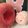 The  Able Apple Pig Plush Toy Doll Cute Pig Doll Detachable Throw Pillow Doll Gift Grabber Doll