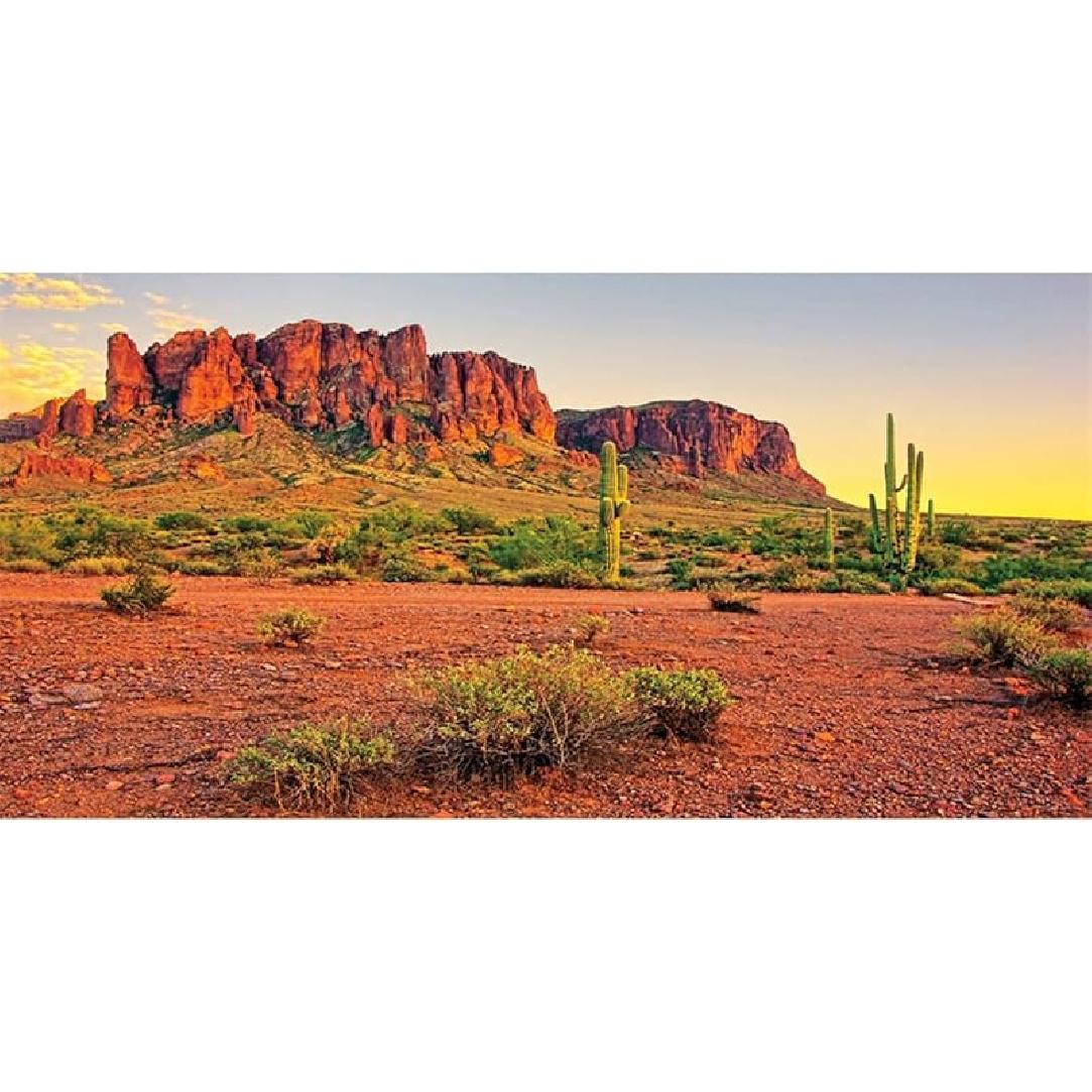 AWERT 30x12 inches Reptile Habitat Background Sky Oasis Mountain Cactus Sun and Desert Terrarium Background Durable Polyester Background 72x16in/180x40cm