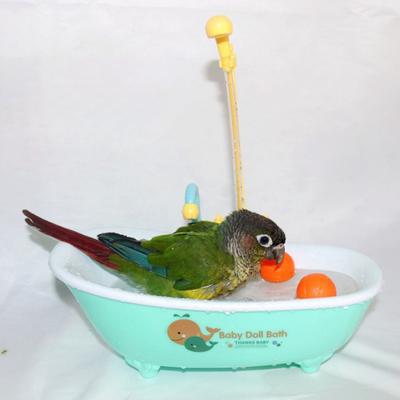 Automatisches Badewannenspielzeug für Papageien mit Wasserhahn, realistisches Waschen, Sittiche, Wellensittiche, Nymphensittiche, Sittiche, Papageien, Badebox, Vogelzubehör