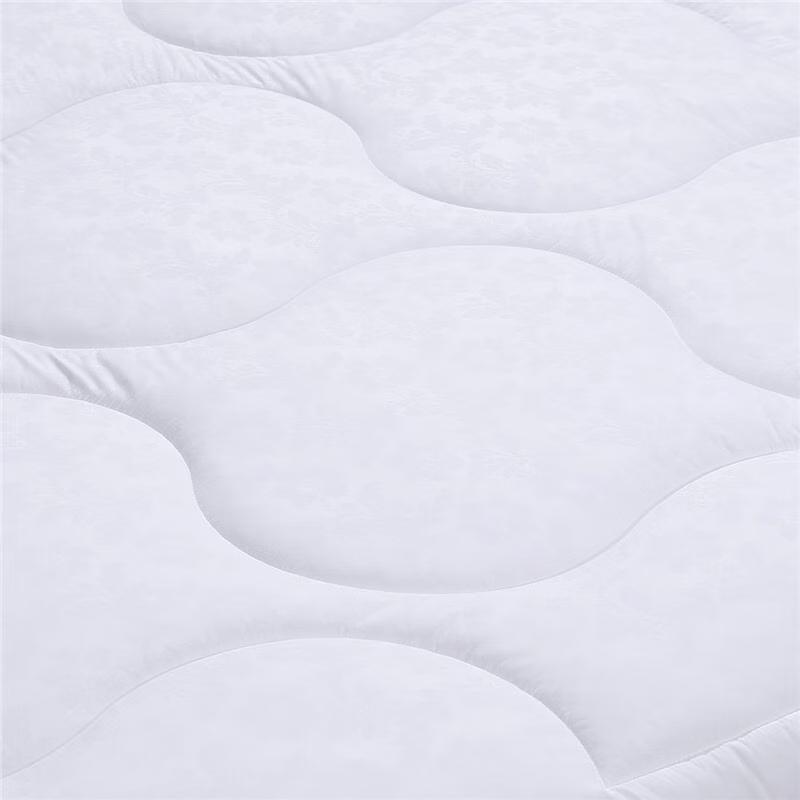 FUANNA Zhenya All-Season Warm Core Quilt