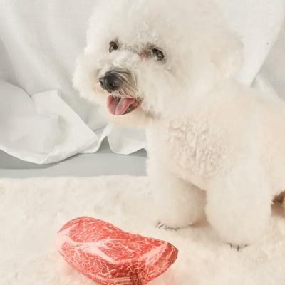 Fake Steak Dog Toy Stuffed Tomahawk Steak Dog Chew Toy Soft Realistic Steak Plush Squeaky Toy for Dogs Training Cleaning Teeth