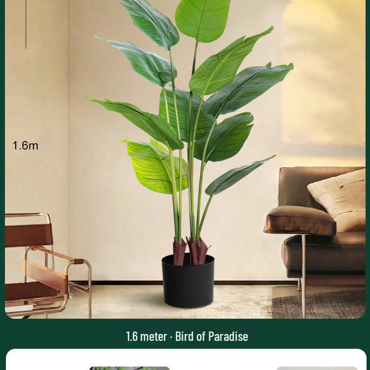 High-End Indoor Bird of Paradise Decor: Luxury Potted Traveler's Palm