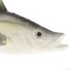 Simulated Animal Fish Model Kitchen Decoration
