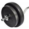 VidaXL Haltère 30 kg Poids Fitness Exercice Musculation Poids Entraînement 90373