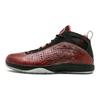 Air 2011 Jordan Brand Classic West
