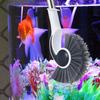 Long Handle Fish Tank Cleaning Tools Durable Aquarium Brush Cleaner Home Kitchen