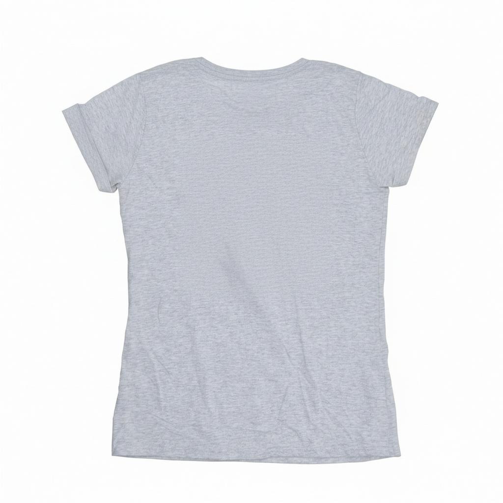 The Little Mermaid Womens/Ladies Voice T-Shirt