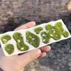 Natural Look Simulation Grass Block Realistic Static Grass Cluster  Train Railway Layout