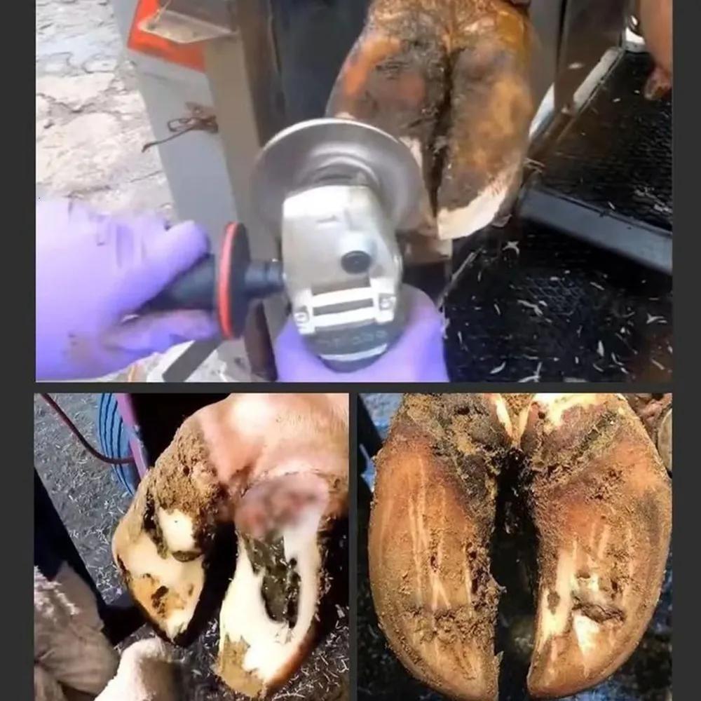 Animal Clipper Blade Sharpening Machine