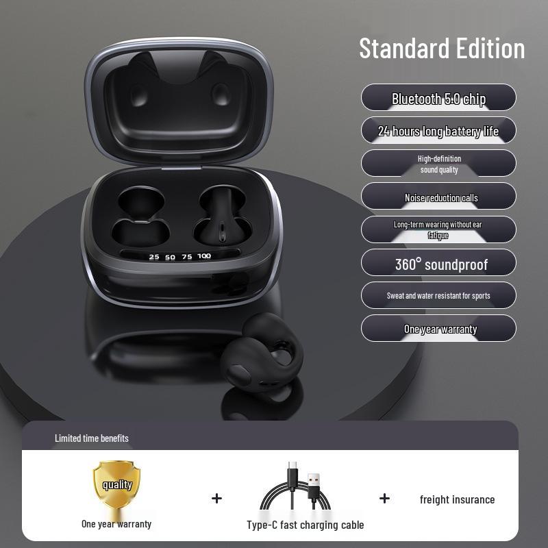 Noise-Cancelling Bluetooth Earphones with Air Conduction & Low Latency