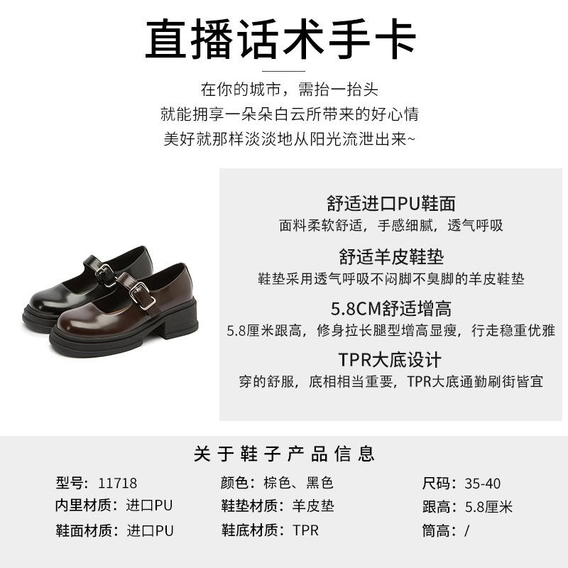 Sheepskin pad Mary Jane shoes women's 2025 spring new shallow mouth single shoes retro British style women's shoes versatile small leather shoes