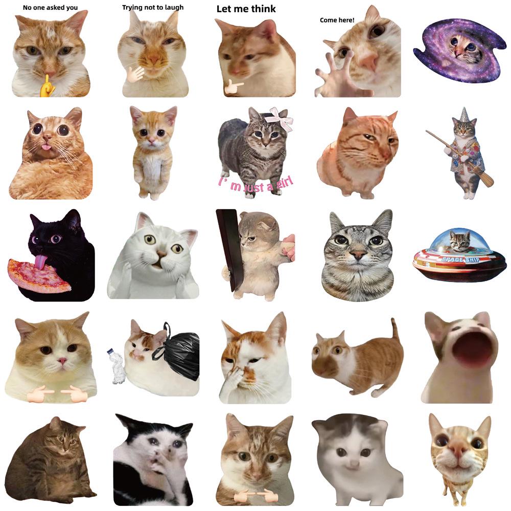 50-Piece Cat Meme Sticker Set for DIY Journals, Water Bottles, and Phone Cases