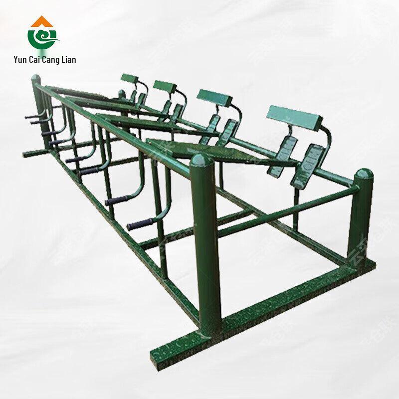 Outdoor Four-Person Back Combination Trainer