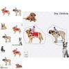 Factory Direct Horse Riding Costume For Pets Cosplay Knight Costume For Dogs