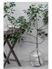 Large Transparent Japanese Andromeda Glass Vase - Thin-Neck, Big-Belly Design for Living Room Decor