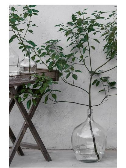 Large Transparent Japanese Andromeda Glass Vase - Thin-Neck, Big-Belly Design for Living Room Decor