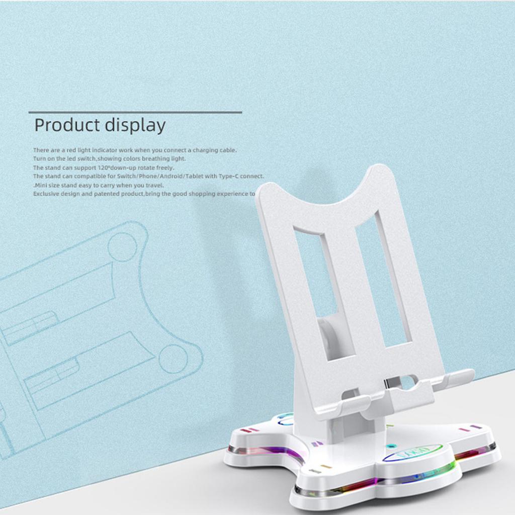 Console Charger Dock Station Type-C Charging Holder Stand for Switch/Switch Lite/Switch OLED and Type-C Phones Tablets