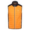 Regatta Mens Halton VII Padded Gilet