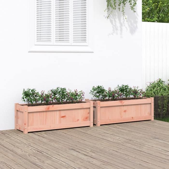 VidaXL Jardinières 2 pcs cm bois massif douglas 837456