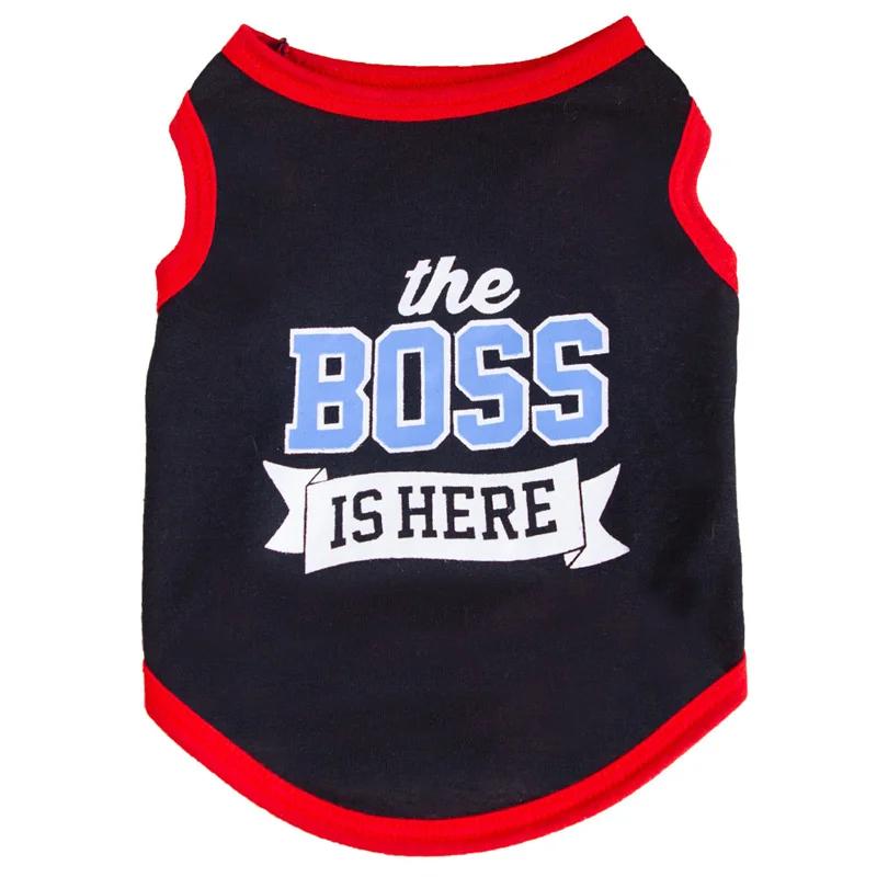 

Летний хлопковый жилет для маленьких собак, кошек, футболки с буквенным принтом для собак, одежда для щенков M-suit 2.5-4kg