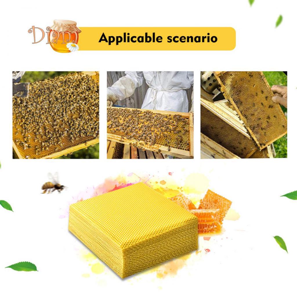10 PCS Beekeeping Honeycomb Wax Frames Foundation Honey Hive Equipment Tool