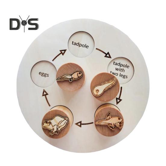 

1 набор обучающий поднос с жизненным циклом животных лягушка жизненный цикл птиц дошкольное обучение деревянные блоки головоломка доска для малышей мальчики девочки обучающий диск с животными Frog