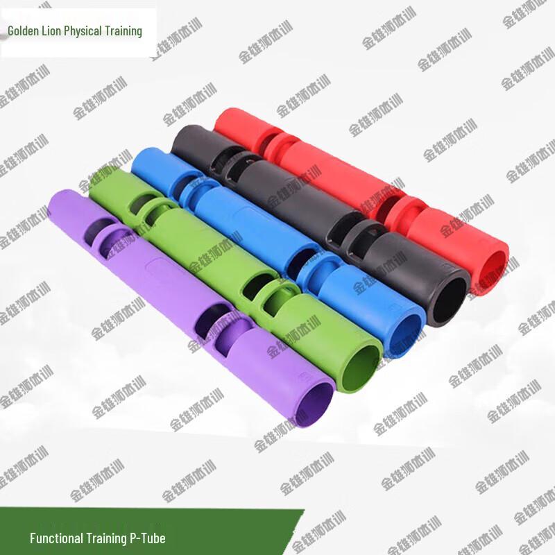 Golden Lion Functional Training Log