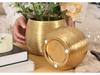 European Style Gold-Plated Ceramic Succulent Pot - Round Brushed Vase for Living Room Decor