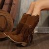 Fashion Autumn Winter Women Fringes Thick Mid Heel Boots Suede Pointed Toe Outdoor Fashion Cowboy Mid-Calf Boots Botas Para Mujer Size43