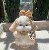 Lop-Eared Rabbit DIY Kit: Cute Rabbit Fur Twist Stick Doll Gift