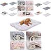 Factory Direct Sale Thickened Pet Mat For Autumn And Winter Cute Cartoon Style Anti-slip Blanket Wholesale Blue Starry Characters)