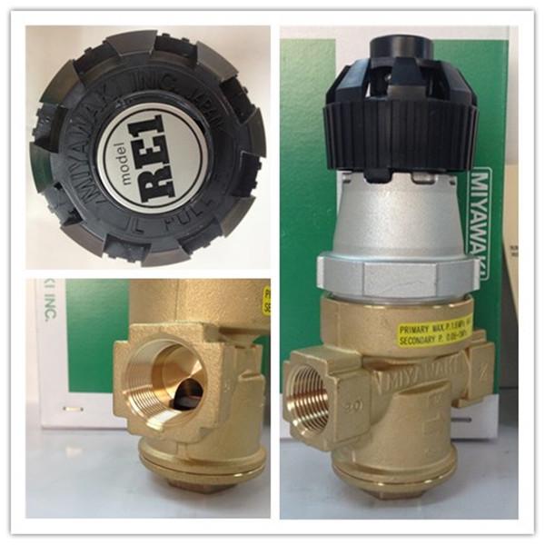 MIYAWAKI RE1 Copper Wire Steam Pressure Reducing and Stabilizing Valve Sterilizer - Original Stock Available