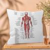 Muscle System Human Anatomy Diagram Medical Cushion Cover x Polyester Sofa Cushions Decorative Throw Pillows