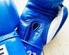 PRIZE RINGPrize Ring Boxing Gloves “Professional SS Blue 8oz