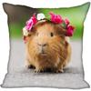 Living Room Pillowcase Guinea Pig   Modern Home