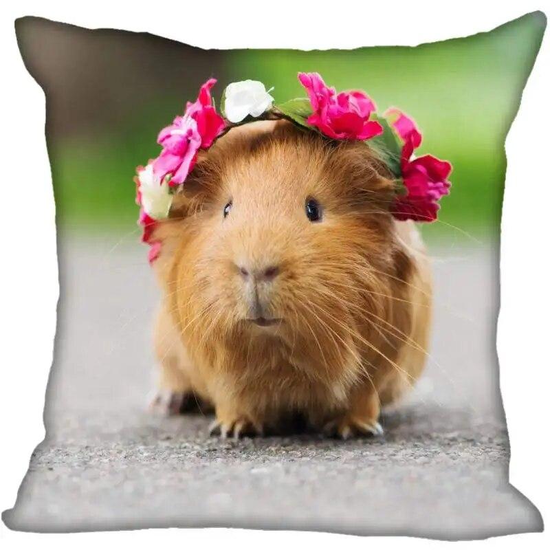 Living Room Pillowcase Guinea Pig   Modern Home