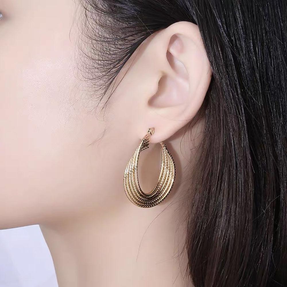 Geometric Personality Design Ring Earrings Niche Exaggeration Titanium Steel Earrings Women's Cold Wind Versatile