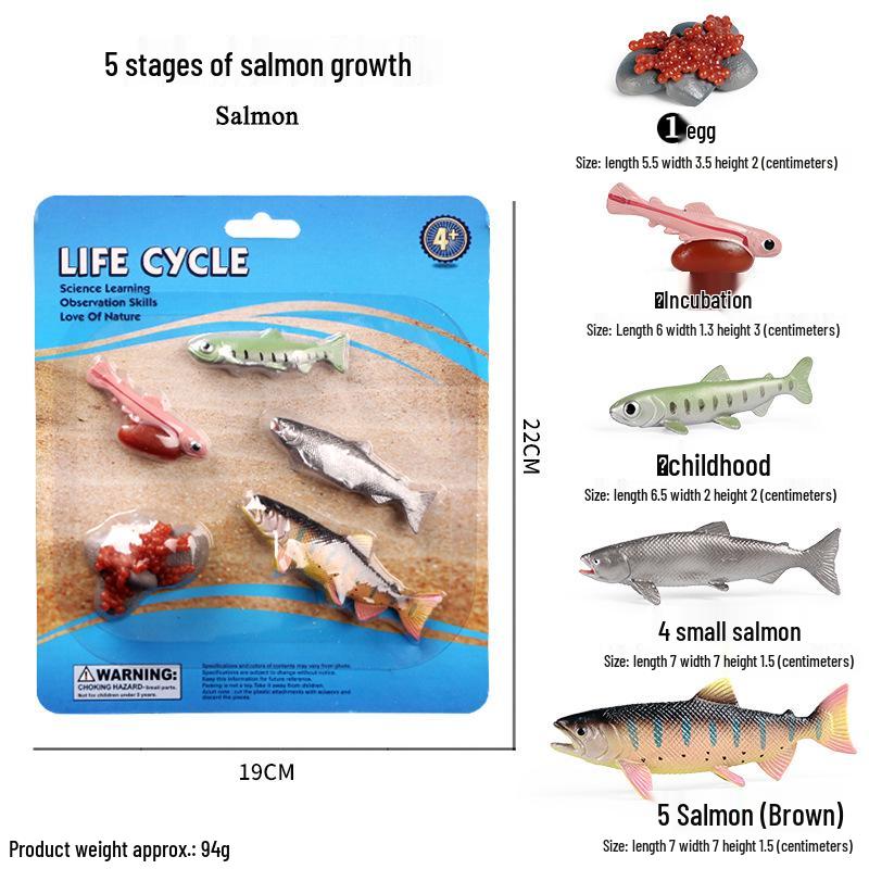 Mini Animal Growth Cycle Toys: Butterfly, Rooster, Ant, Frog, Sea Turtle, Dragonfly