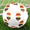 Willem II Tilburg size5 Soccer Ball, colorful, suitable for all ages, machine-stitched, PVC material, competition grade,durable and high bounce