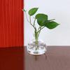 Transparent Avocado Seed Culture Kit - Glass Vase for Plant Starters, Perfect for Gardening Enthusiasts