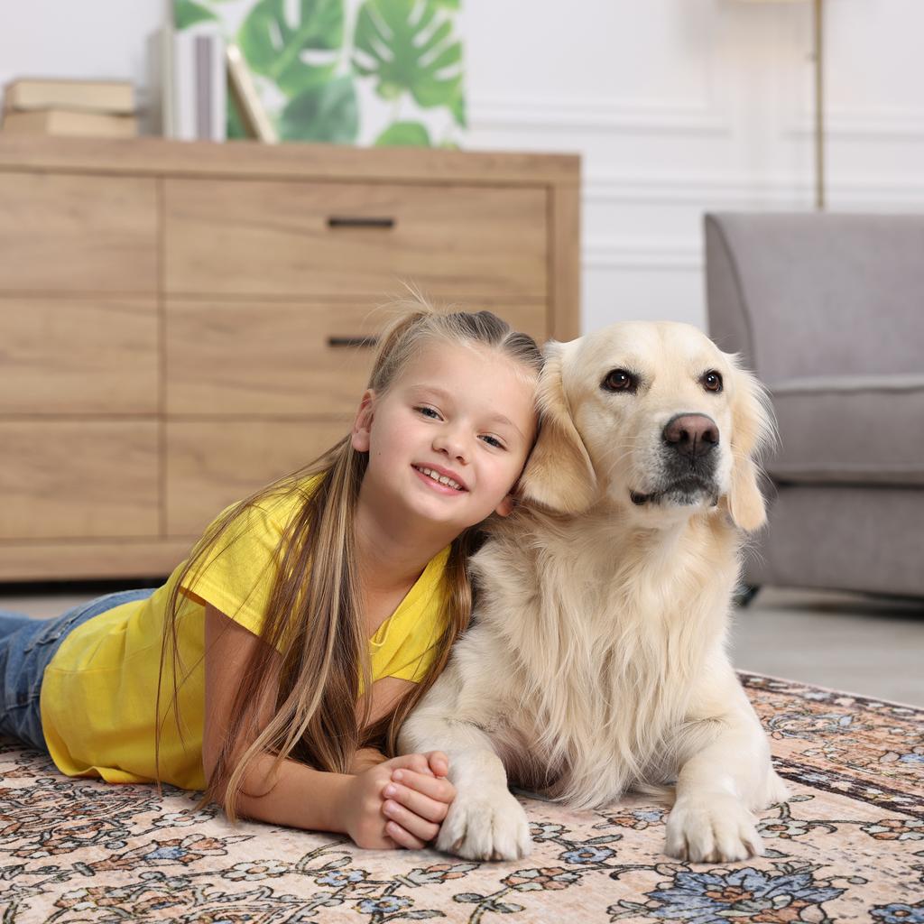 Area Rugs for Living Room, Machine Washable Vintage Rug, Non-Slip Low Pile Throw Rugs with Rubber Backing Washable Carpet