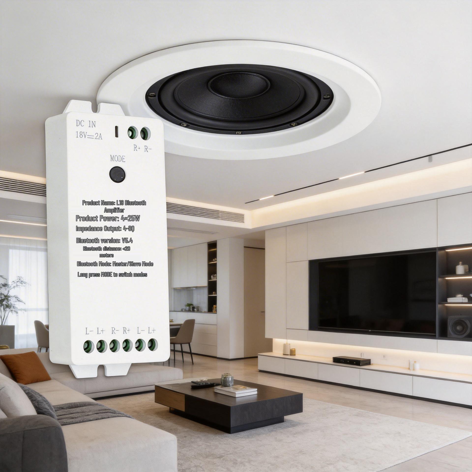 

Bluetooth 5.0 Ceiling Speaker with Central Control Screen Docking Audio Module Tian Lai