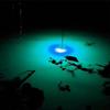 1Pcs LED Deep Drop Fishing Attraction Lure Underwater Eye Shape Fishing Squid Bait Fish Lure Light Flashing Lamps Pesca Lure